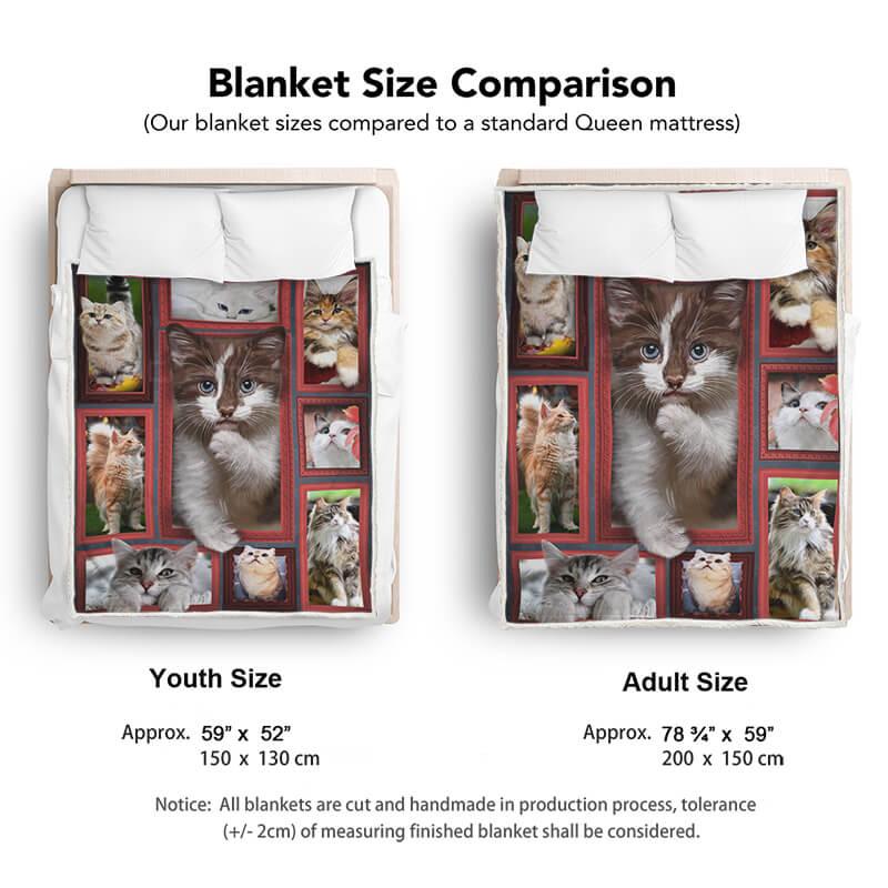 Cozy & Premium Blanket with bicolor Ragdoll Cat printed - 1B1001C - Creative Fans