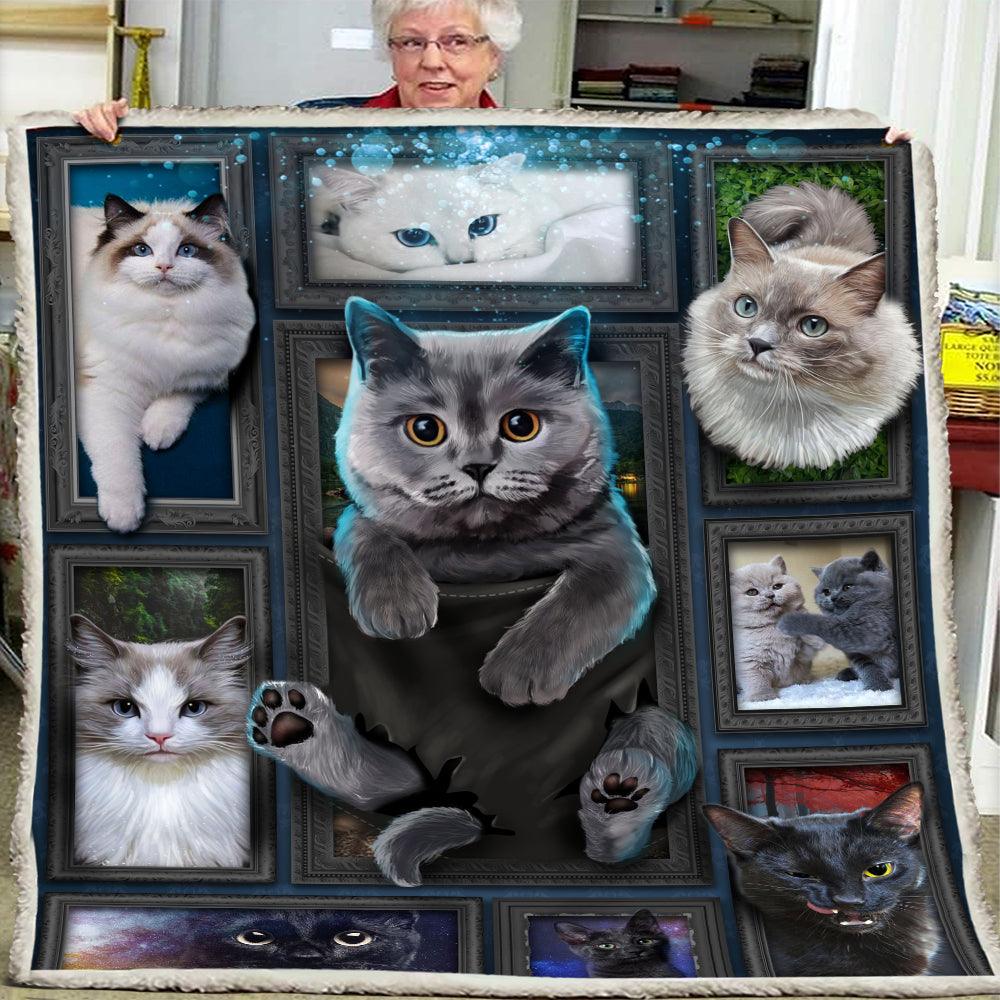 Premium Printed Cat Blanket- 1B1013C - Creative Fans