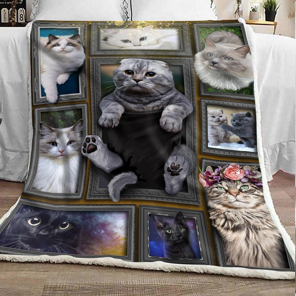 Premium Printed Cat Blanket- 1B1085C - Creative Fans