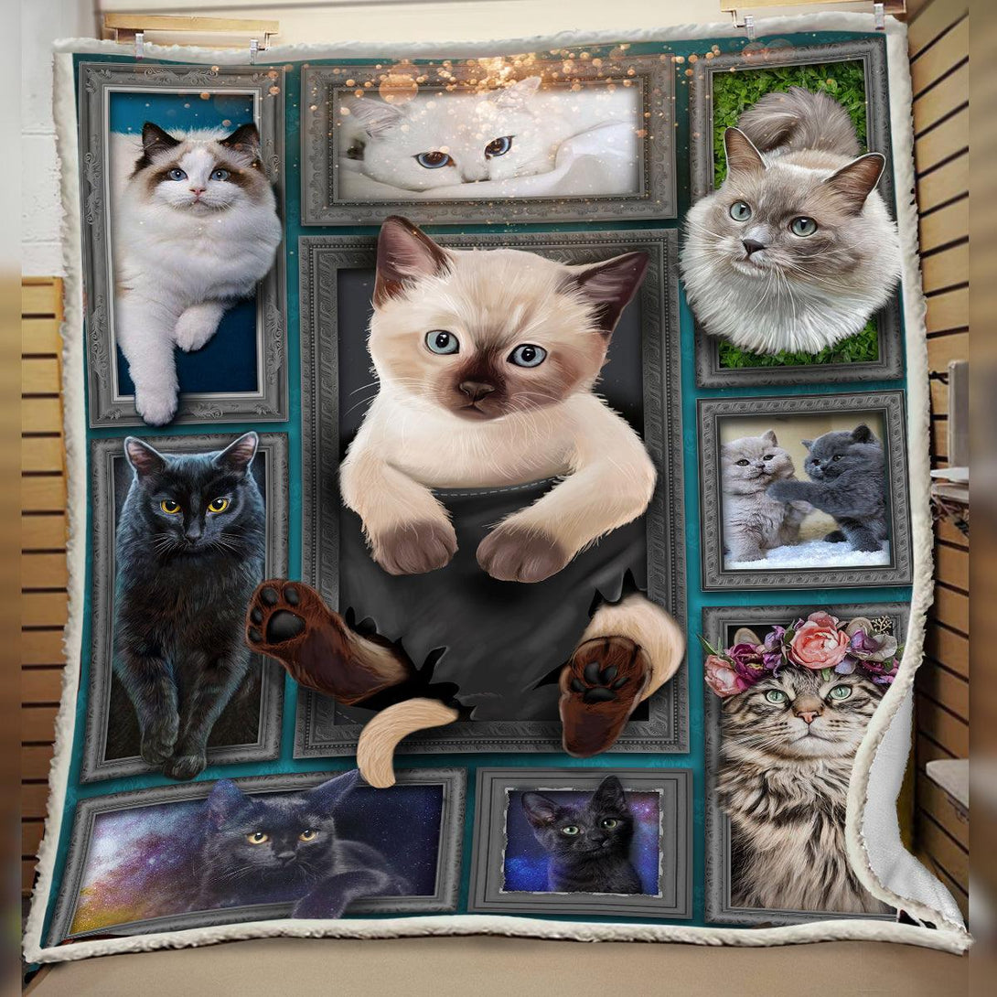 Premium Siamese Cat Blanket- 1B1103C - Creative Fans