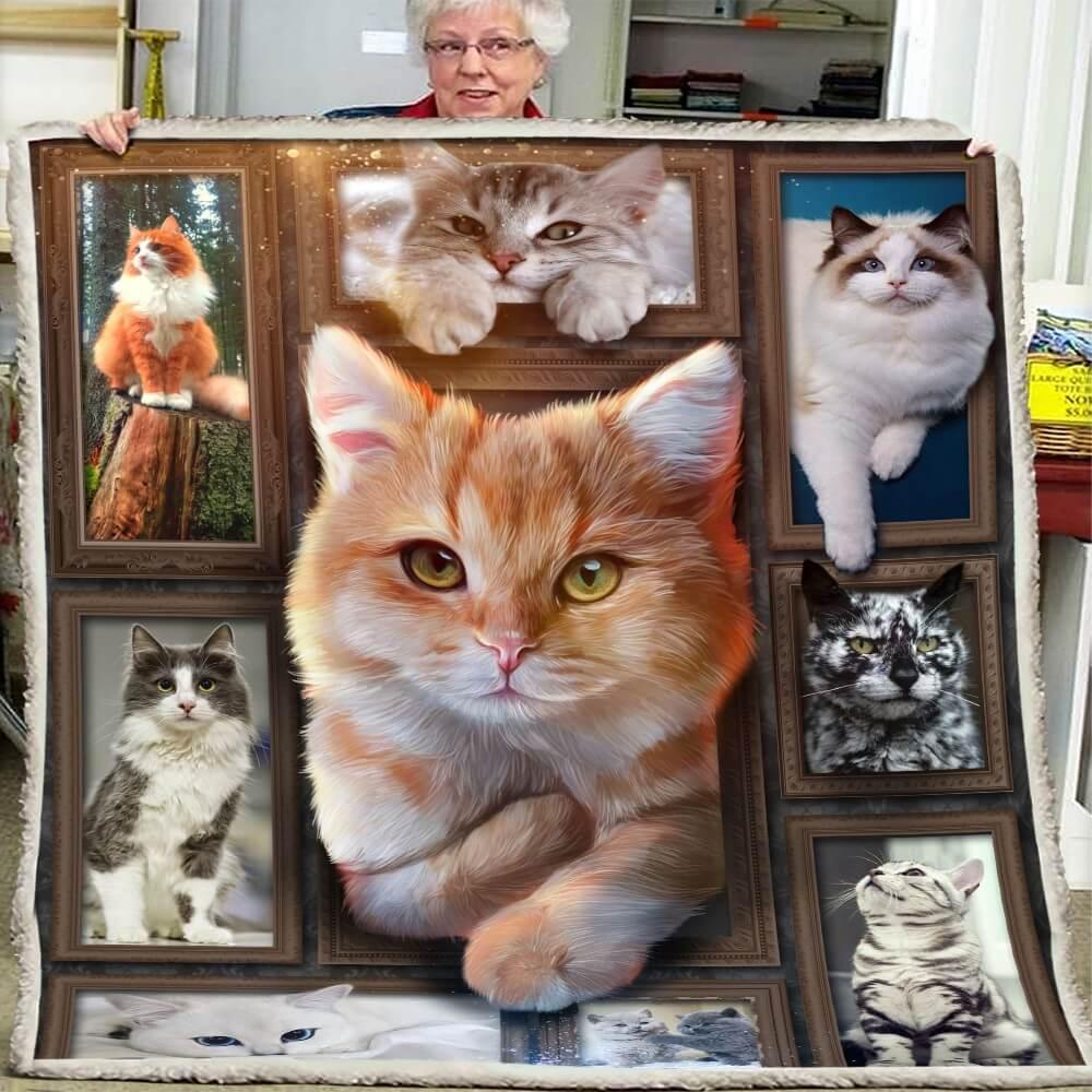 Cozy Blanket with Ginger Cat / Orange Cat V.1 - 1B1011C - Creative Fans