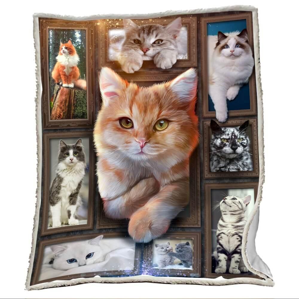 Cozy Blanket with Ginger Cat / Orange Cat V.1 - 1B1011C - Creative Fans