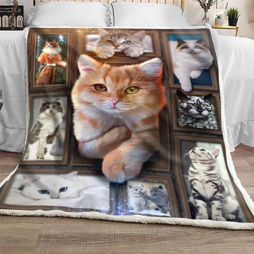 Cozy Blanket with Ginger Cat / Orange Cat V.1 - 1B1011C - Creative Fans