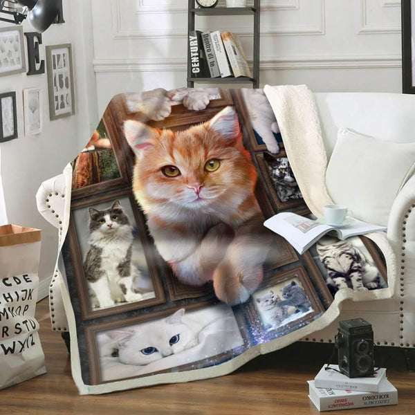 Cozy Blanket with Ginger Cat / Orange Cat V.1 - 1B1011C - Creative Fans