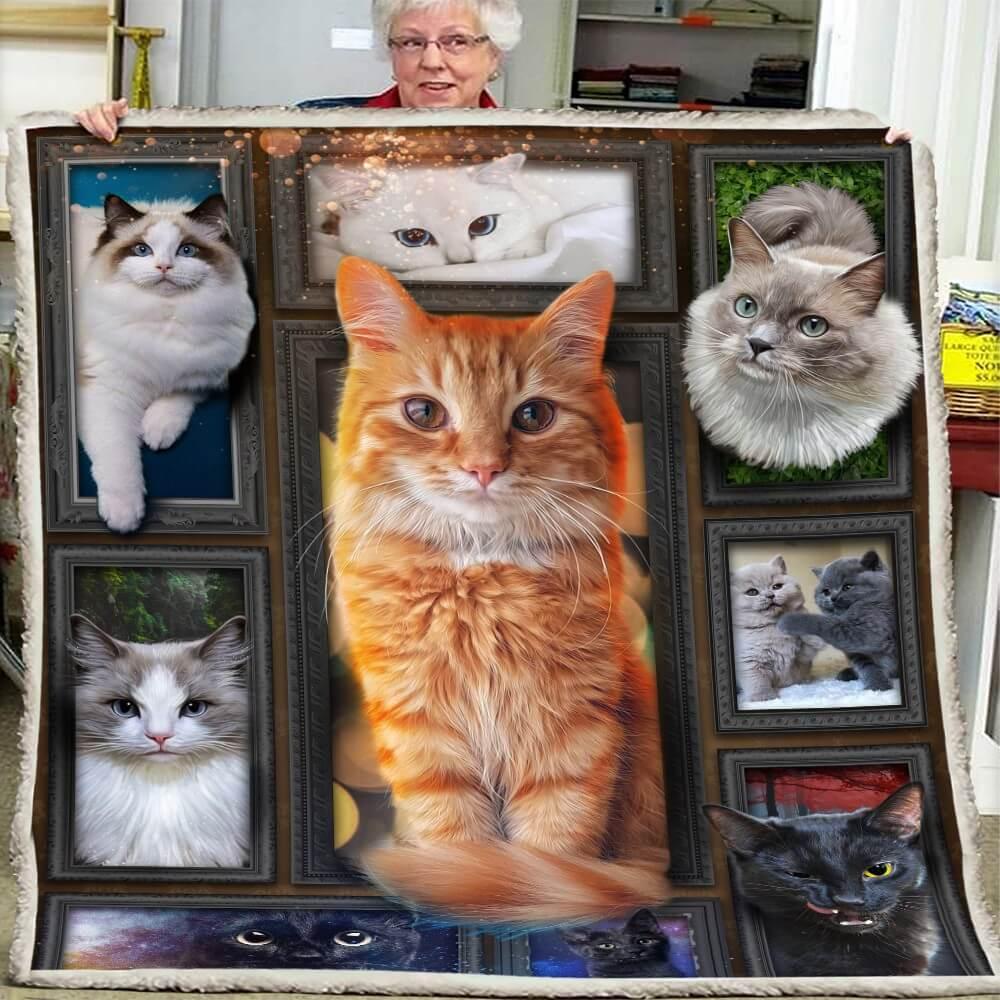 Cozy Blanket with Ginger Cat / Orange Cat V.2 - 1B1015C - Creative Fans