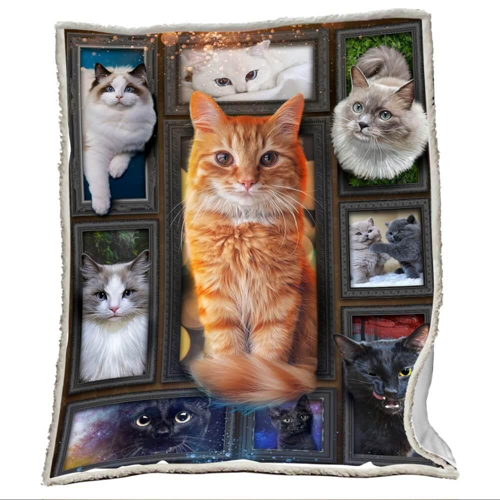 Cozy Blanket with Ginger Cat / Orange Cat V.2 - 1B1015C - Creative Fans