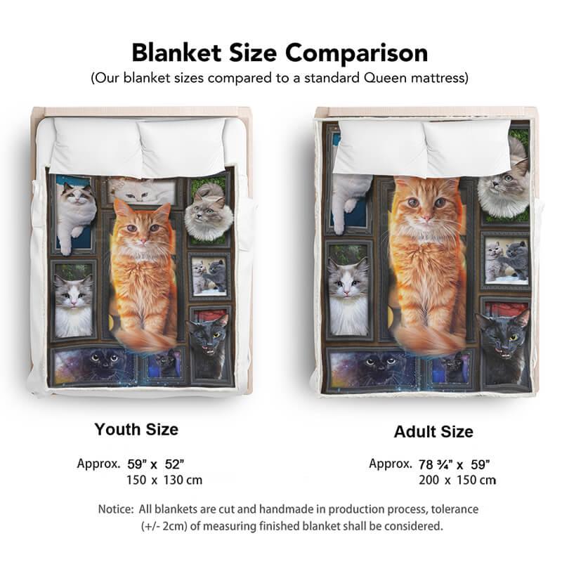Cozy Blanket with Ginger Cat / Orange Cat V.2 - 1B1015C - Creative Fans