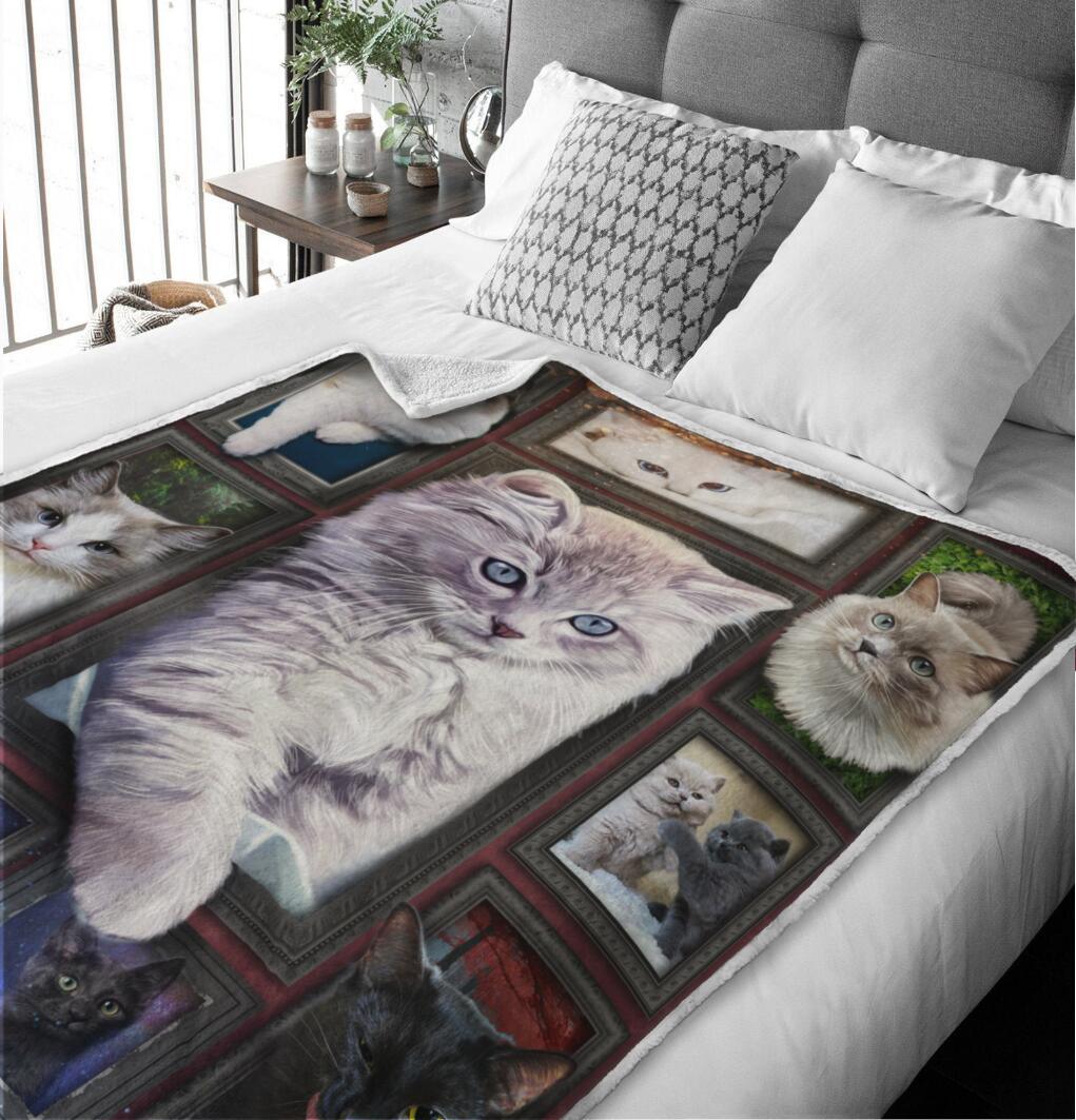 Cozy & Soft Persian Cat Blanket- 1B1017C - Creative Fans