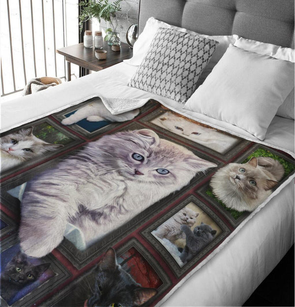 Cozy & Soft Persian Cat Blanket- 1B1017C - Creative Fans