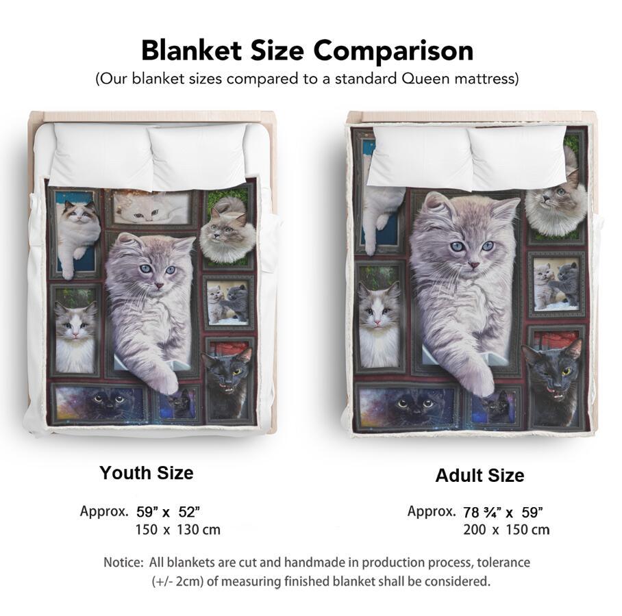 Cozy & Soft Persian Cat Blanket- 1B1017C - Creative Fans