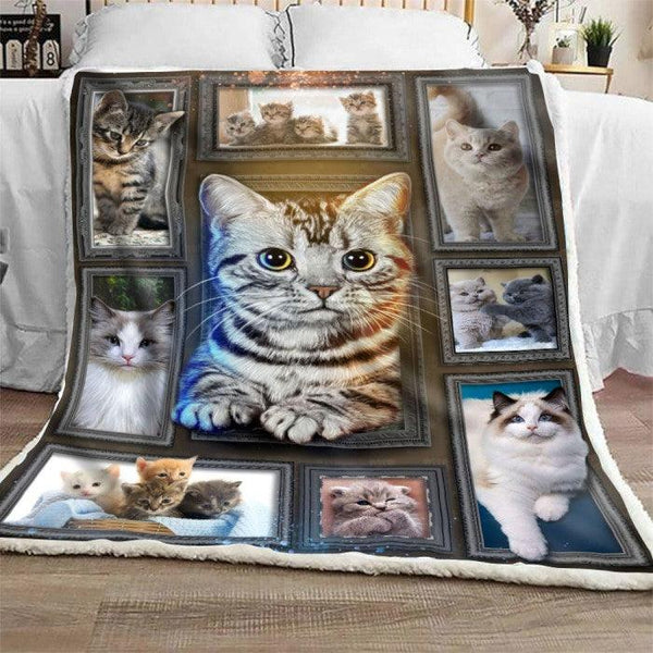 Cozy Blanket with American Shorthair Cat Collection - 1B1043C - Creative Fans