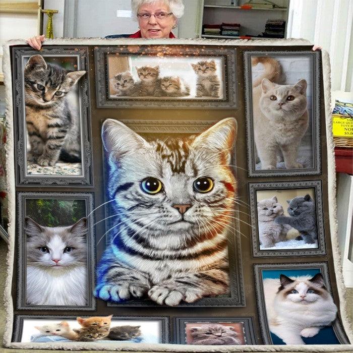 Cozy Blanket with American Shorthair Cat Collection - 1B1043C - Creative Fans
