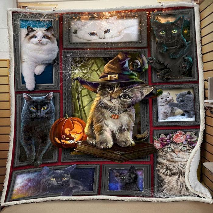 Premium Blanket Cat with Hat - Cat Collection - 1B1095C - Creative Fans