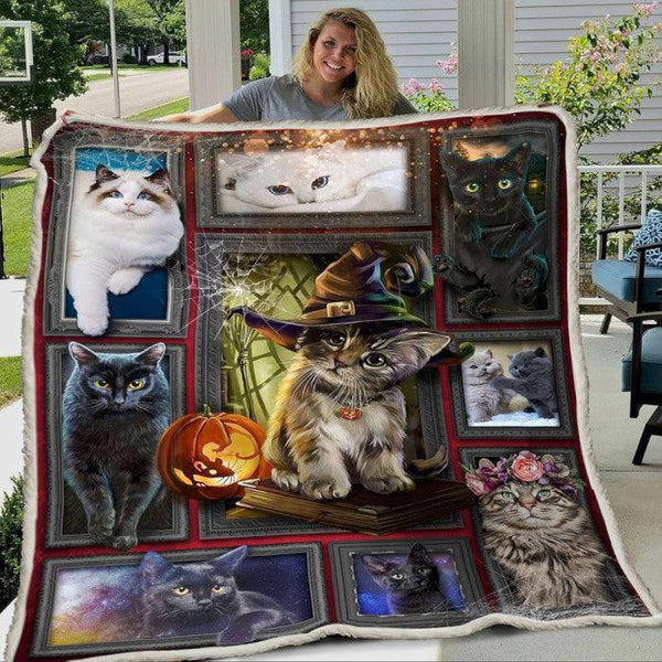 Premium Blanket Cat with Hat - Cat Collection - 1B1095C - Creative Fans