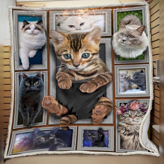 Premium Printed Cat Blanket- 1B1102C - Creative Fans