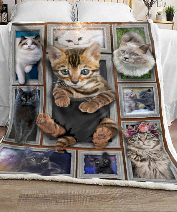 Premium Printed Cat Blanket- 1B1102C - Creative Fans