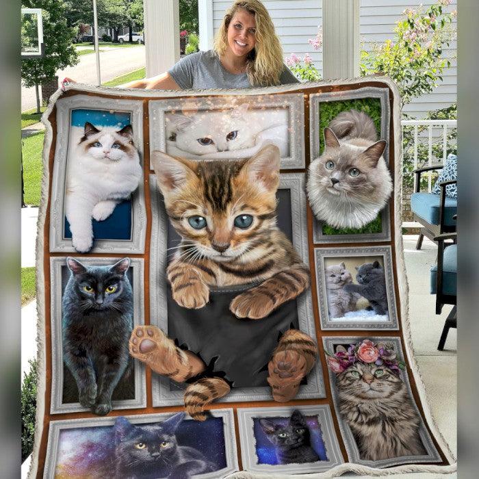 Premium Printed Cat Blanket- 1B1102C - Creative Fans