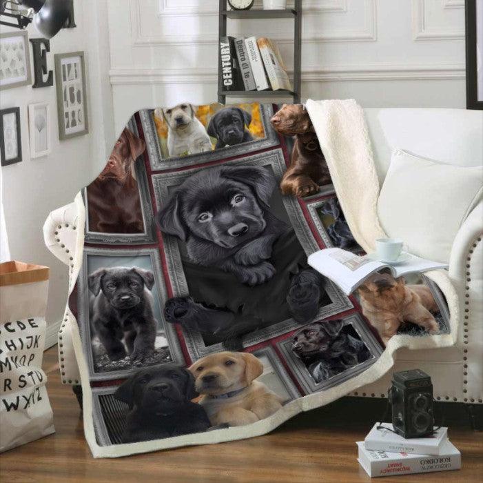 Premium Blanket Labrador Puppy Dog Collection - 1B1118D - Creative Fans