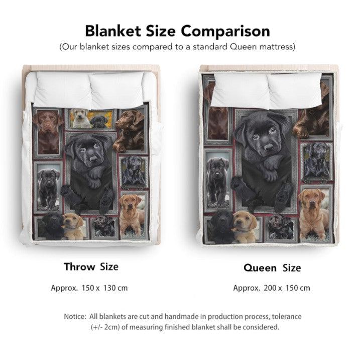 Premium Blanket Labrador Puppy Dog Collection - 1B1118D - Creative Fans