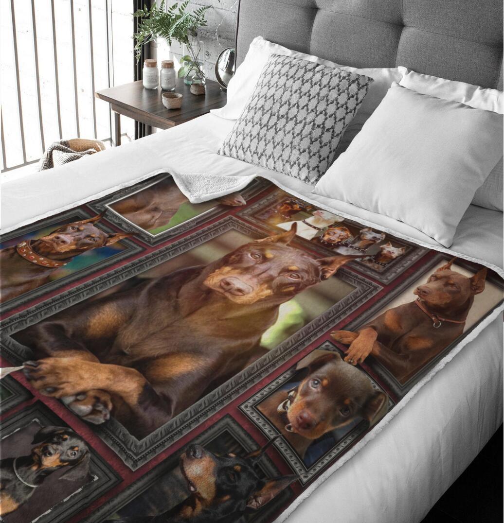 Premium Blanket Doberman Dog Collection - 1B1122D - Creative Fans