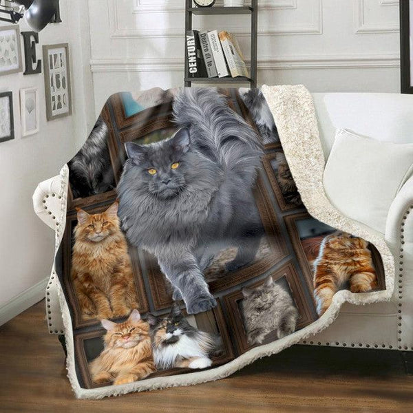 Premium Blanket Maine Coon Cat Collection - 1B1319C - Creative Fans