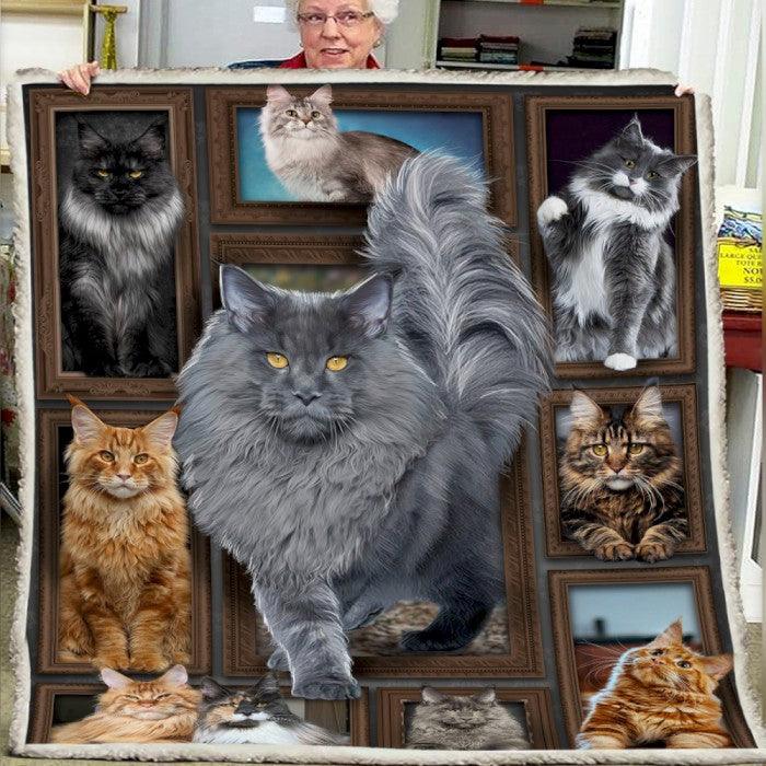 Premium Blanket Maine Coon Cat Collection - 1B1319C - Creative Fans