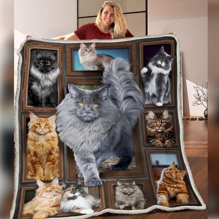 Premium Blanket Maine Coon Cat Collection - 1B1319C - Creative Fans