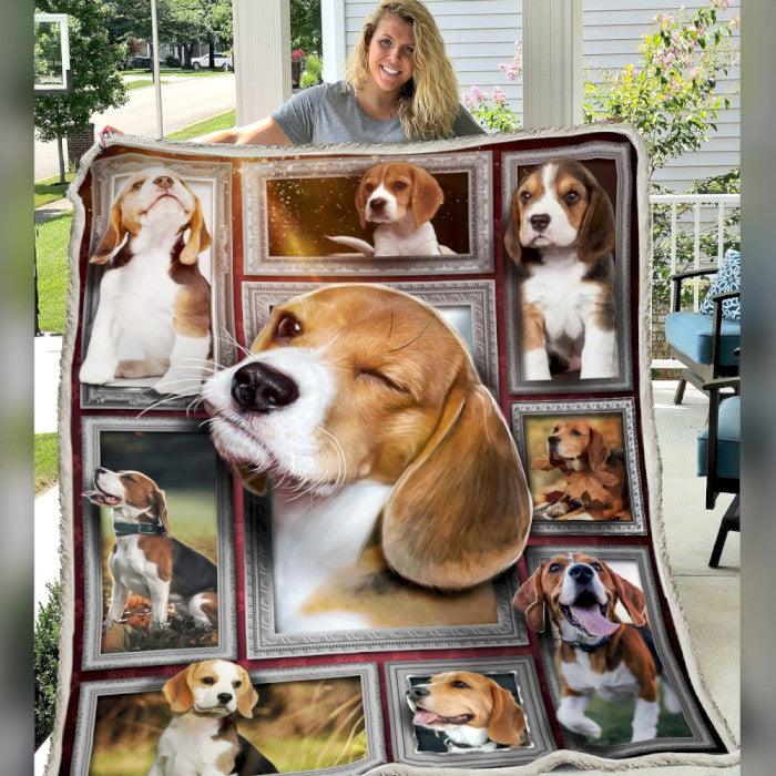 Premium Blanket Beagle Dog Collection - 1B1410D - Creative Fans