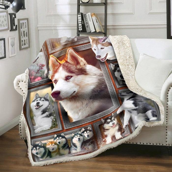 Premium Blanket Husky Dog 1 Collection - 1B1413D - Creative Fans
