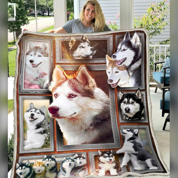 Premium Blanket Husky Dog 1 Collection - 1B1413D - Creative Fans