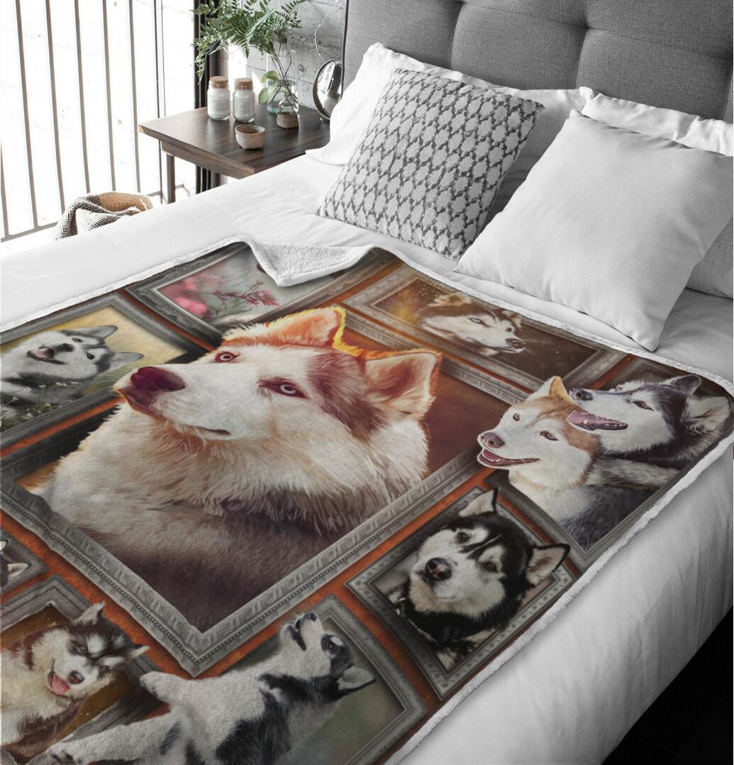 Premium Blanket Husky Dog 1 Collection - 1B1413D - Creative Fans