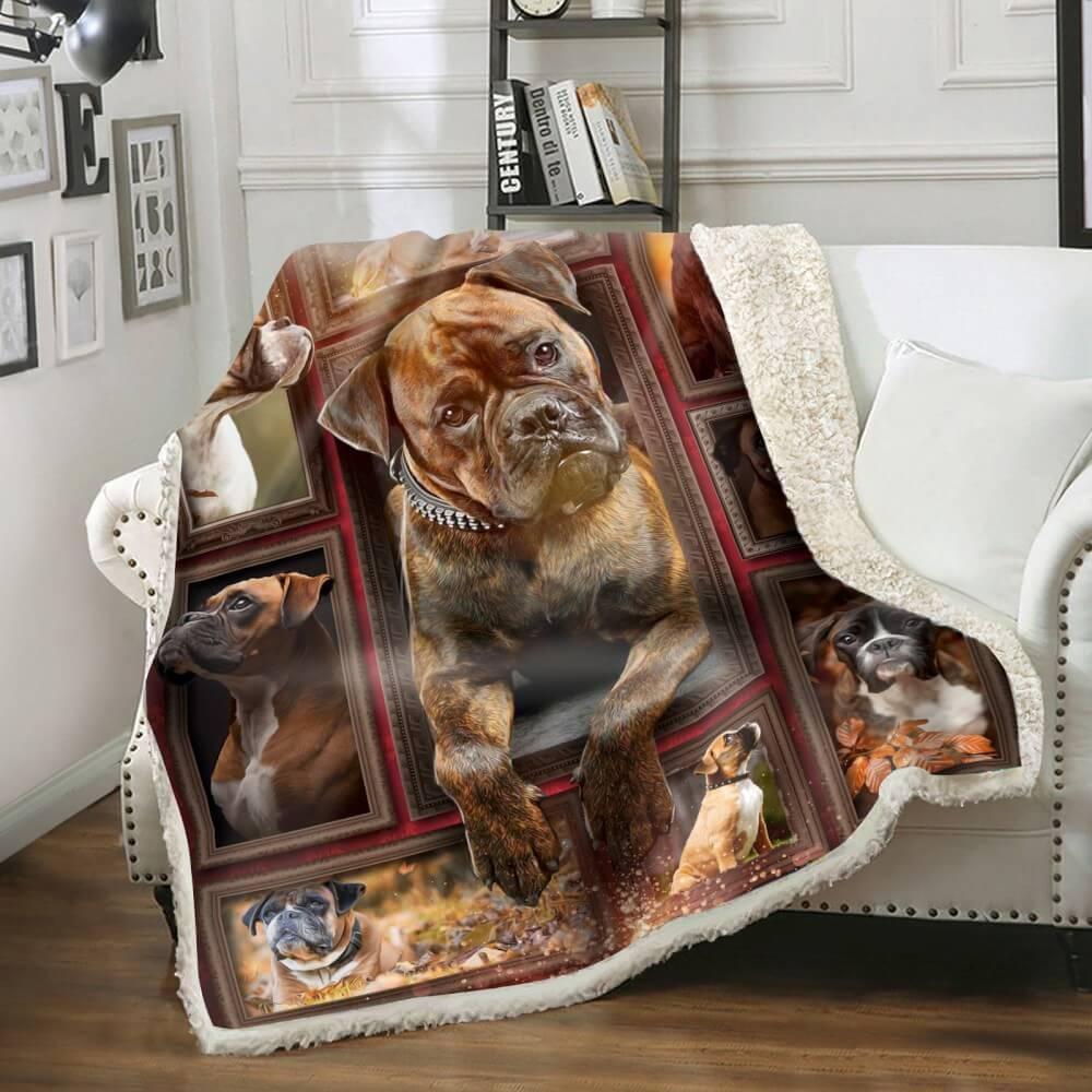 Premium Blanket Boxer Dog Collection - 1B1414D - Creative Fans