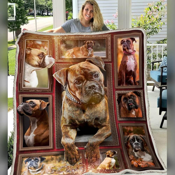 Premium Blanket Boxer Dog Collection - 1B1414D - Creative Fans