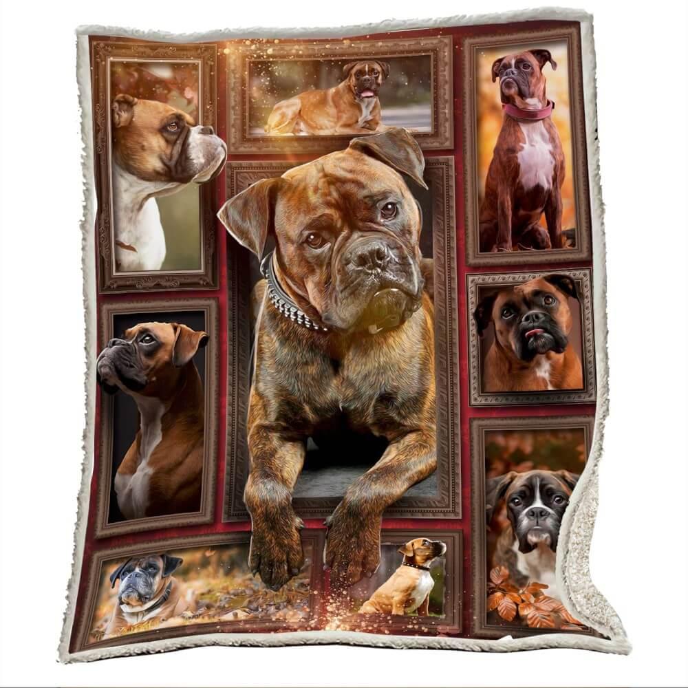Premium Blanket Boxer Dog Collection - 1B1414D - Creative Fans