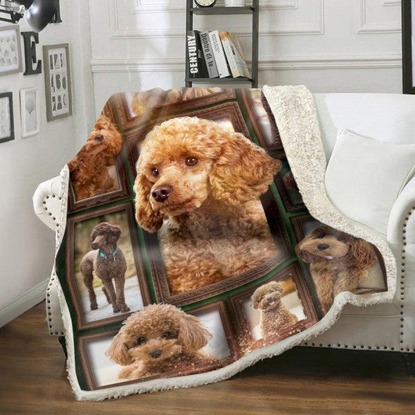 Premium Blanket Poodle Dog V.1 Collection - 1B1416D - Creative Fans