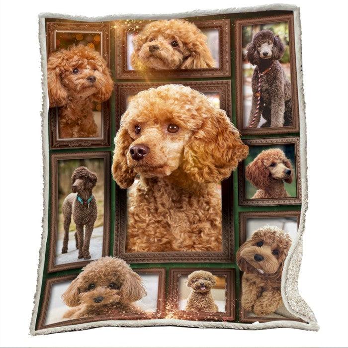 Premium Blanket Poodle Dog V.1 Collection - 1B1416D - Creative Fans