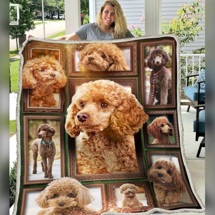 Premium Blanket Poodle Dog V.1 Collection - 1B1416D - Creative Fans