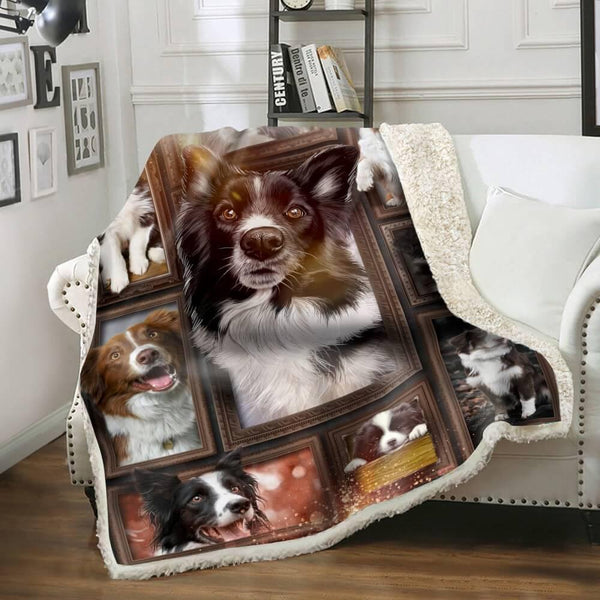 Premium Blanket Border Collie Dog Collection - 1B1417D - Creative Fans