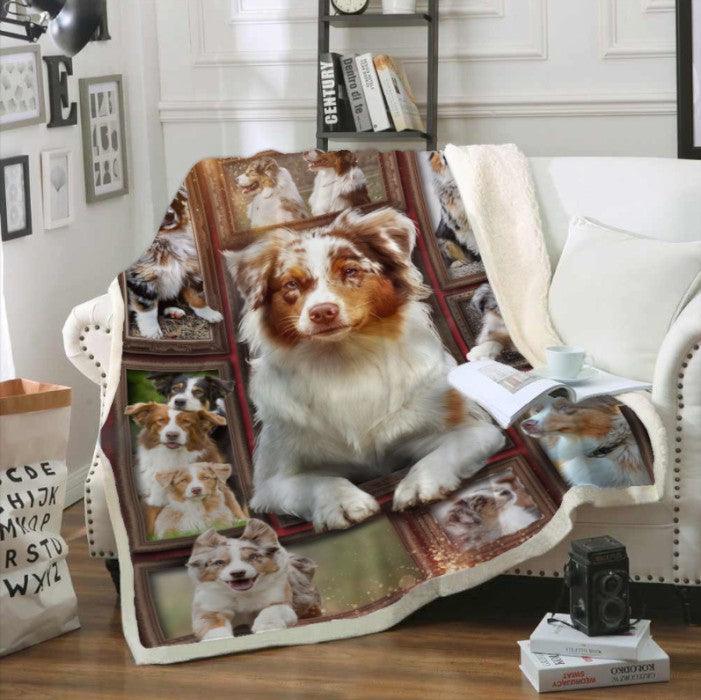 Premium Blanket Australian Shepherd Dog - 1B1419D - Creative Fans