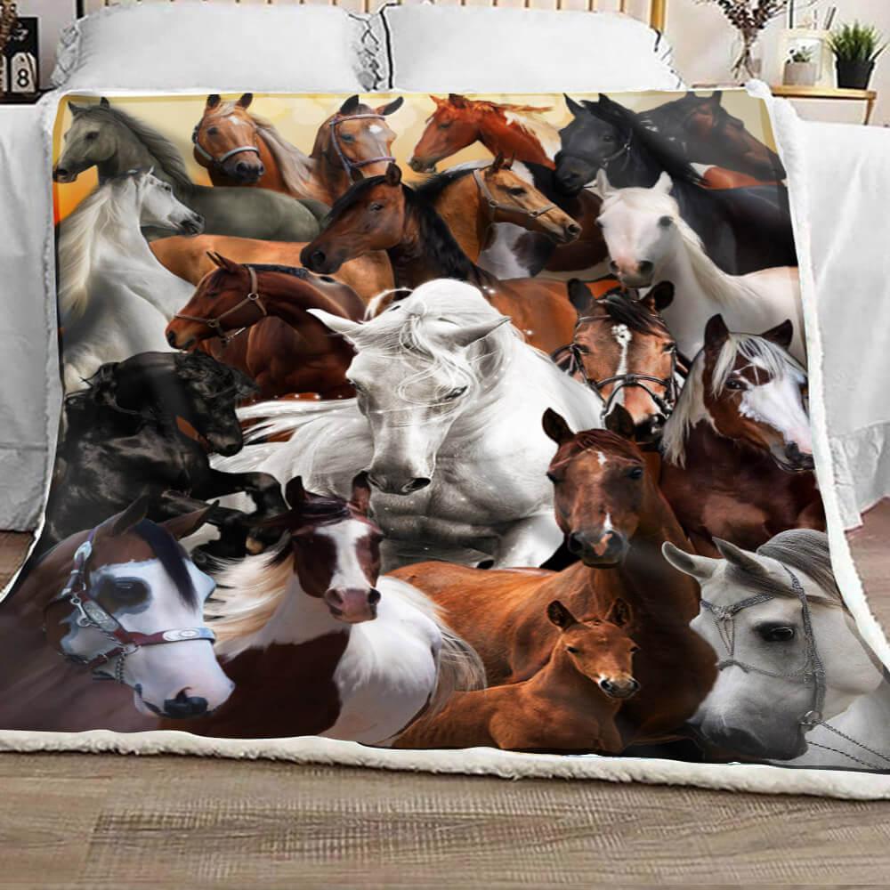 Premium Blanket Horse Collection - 1B1510H - Creative Fans