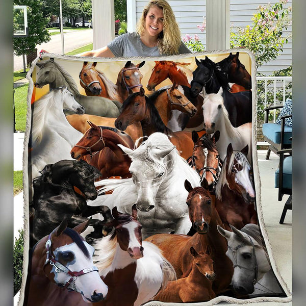 Premium Blanket Horse Collection - 1B1510H - Creative Fans