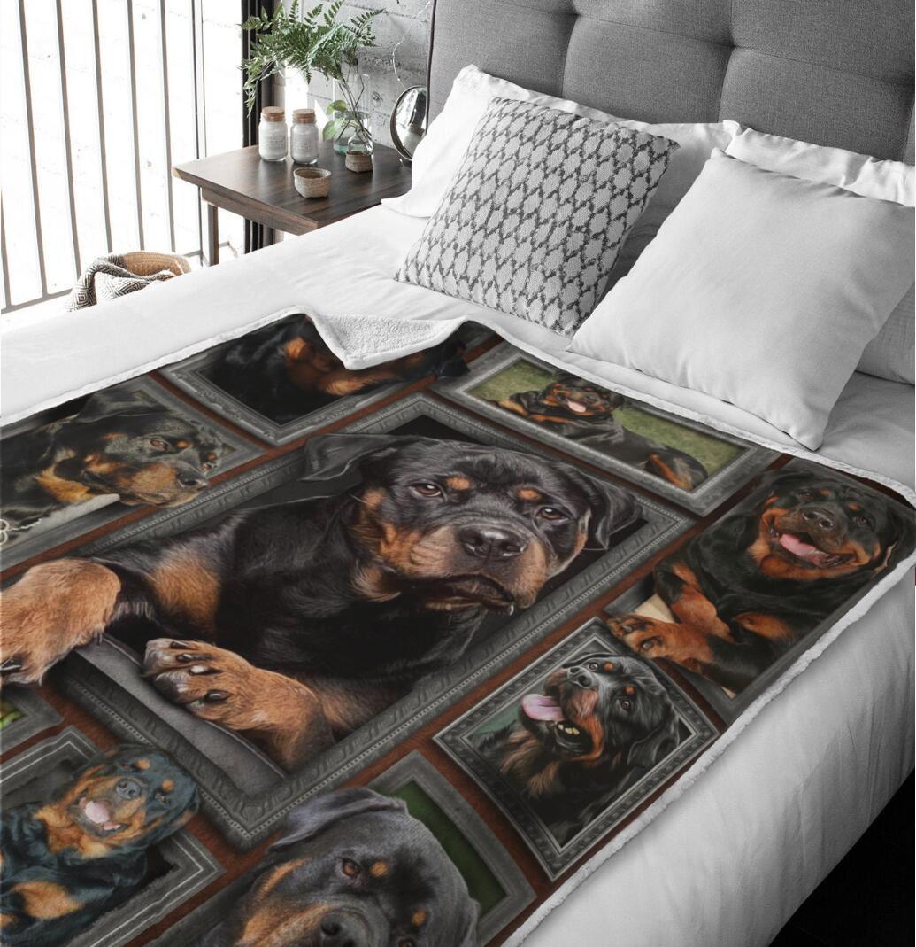 Rottweiler Dog Blanket Collection - 1B1110D - Creative Fans