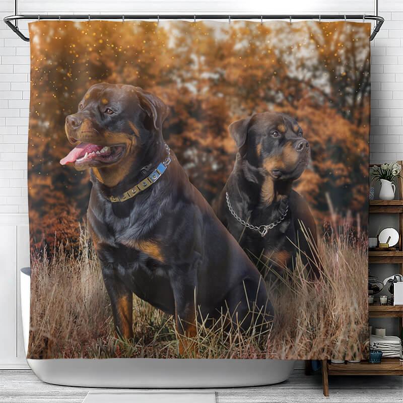Amzing Dogs Collection Shower Curtain - Creative Fans