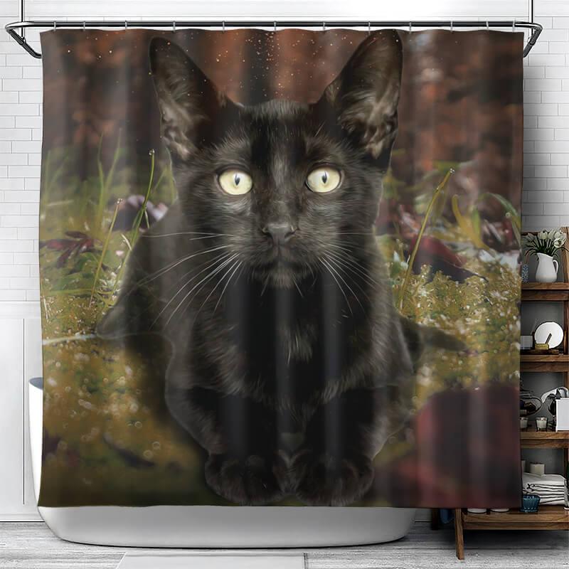 All Cute Cats Collection Shower Curtain - Creative Fans