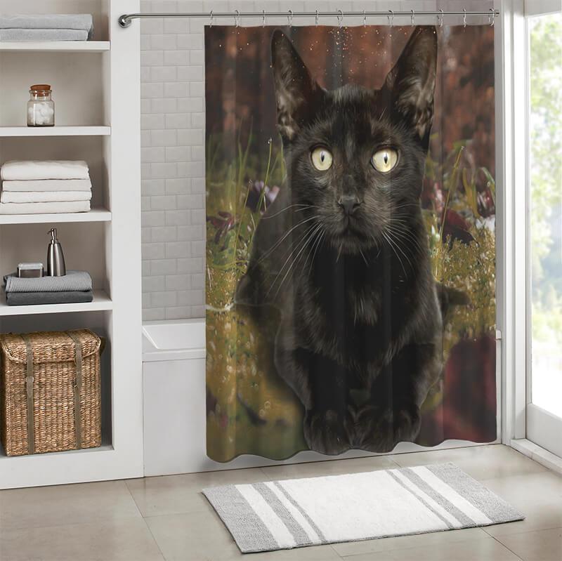 All Cute Cats Collection Shower Curtain - Creative Fans