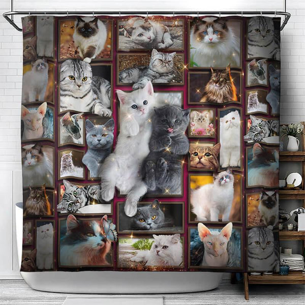 All Cute Cats Collection Shower Curtain - Creative Fans