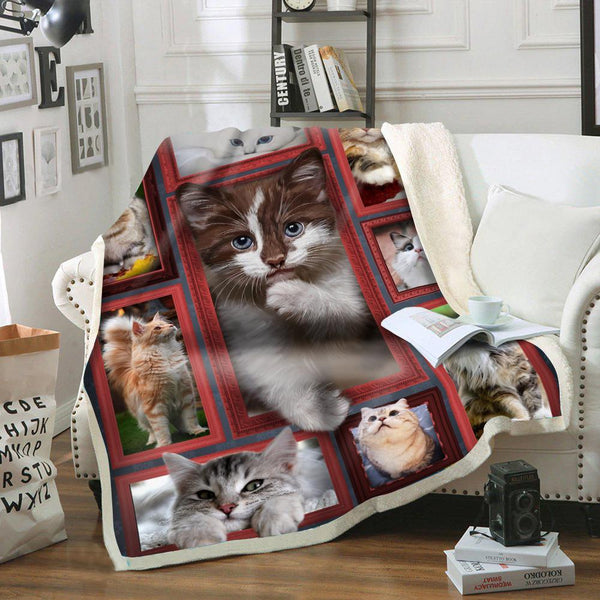 Cozy & Premium Blanket with bicolor Ragdoll Cat printed - 1B1001C - Creative Fans