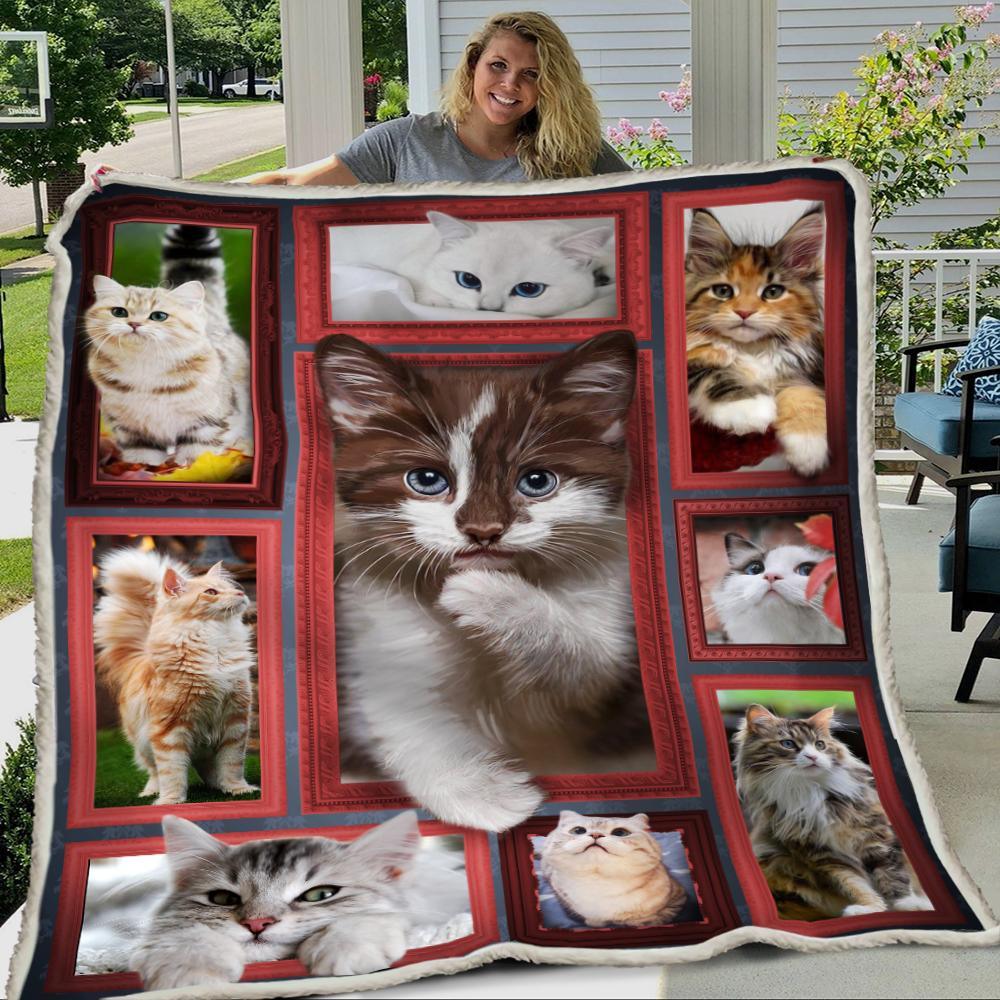 Cozy & Premium Blanket with bicolor Ragdoll Cat printed - 1B1001C - Creative Fans