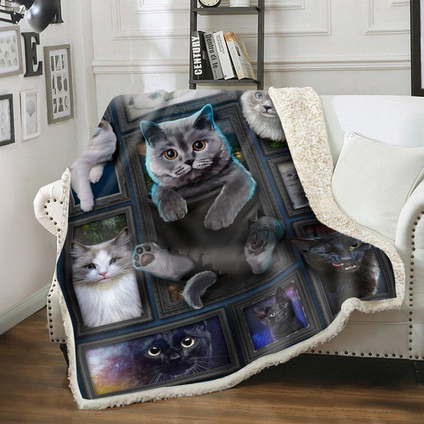 Premium Printed Cat Blanket- 1B1013C - Creative Fans