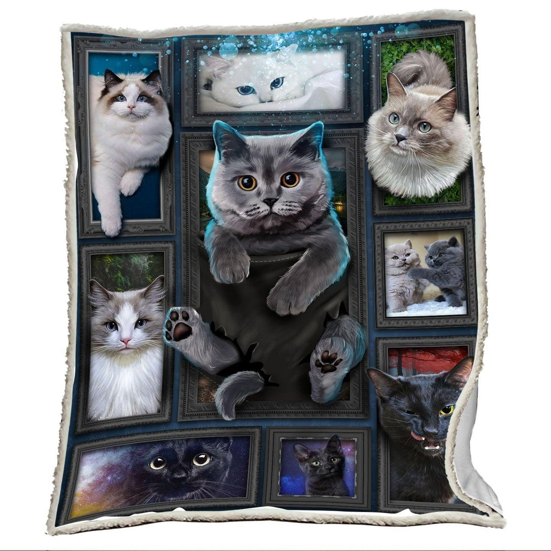 Premium Printed Cat Blanket- 1B1013C - Creative Fans